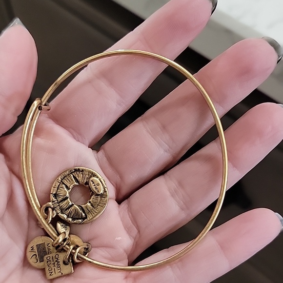 Alex and Ani Gold and Silver Anchor & Lifebuoy Charm Expandable Bangle Set - Picture 7 of 12